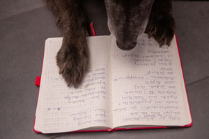 Themen Ellen Blessing, Texte über Hunde